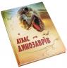 купить: Книга Атлас динозаврів изображение3