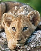 купити: Книга Baby Animals