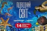 buy: Book - Toy Картки для дітей "Підводний світ"