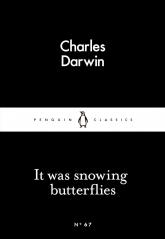 buy: Book It Was Snowing Butterflies