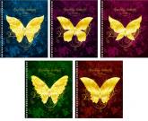 купить: Книга Золотые бабочки (Sparkling butterfly). Тетрадь 96 листов
