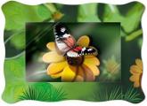купить: Набор для творчества Бабочка на цветке. Mini-Vizzle