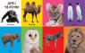 купити: Книга Перші 100 тварин зображення4