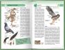 купити: Книга Екзотичні птахи. Яскраве царство пернатих зображення3