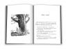 купити: Книга Дао Вінні-Пуха. Принципи даосизму на прикладі найвідомішого у світі ведмедя зображення4