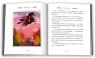 купити: Книга Казки-п’ятихвилинки для принців і принцес зображення5