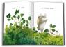 buy: Book Туконі – мешканець лісу image4