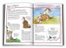 купити: Книга 100 фактів про котів і кошенят зображення5