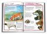 купить: Книга 100 фактів про собак і цуценят изображение4