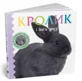 buy: Book Кролик і його друзі
