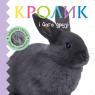 buy: Book Кролик і його друзі image2