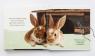 купити: Книга Кролик і його друзі зображення4