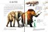 buy: Book Від тиранозавра до півня. Велика книга еволюції тварин image2