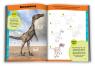 купить: Книга Вчимося малювати динозаврів изображение4