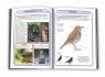 купити: Книга Птахи наших садків зображення4
