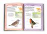 купити: Книга Птахи наших садків зображення5