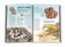 купити: Книга Атлас динозаврів зображення5