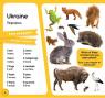 купити: Книга Комплект 100 слів про тварин + картки зображення4