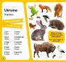 buy: Book 100 слів про тварин світу. 100 words about anima image4