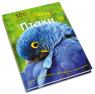 купити: Книга 100 фактів про птахів зображення3