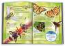 купити: Книга 100 фактів про комах та інших безхребетних зображення5