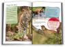 buy: Book 100 фактів про великих котів image5