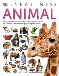 купити: Книга Animal