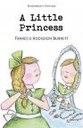 купить: Книга Little Princess
