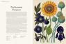 buy: Book Botanicum image2