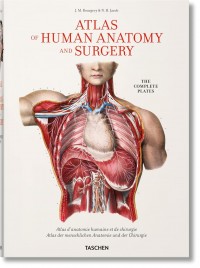 купить: Книга Bourgery. Atlas Of Human Anatomy And Surgery